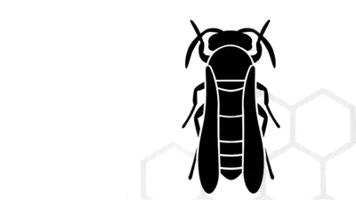 Katiller Yuvası izle