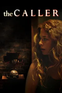 Ziyaretçi izle